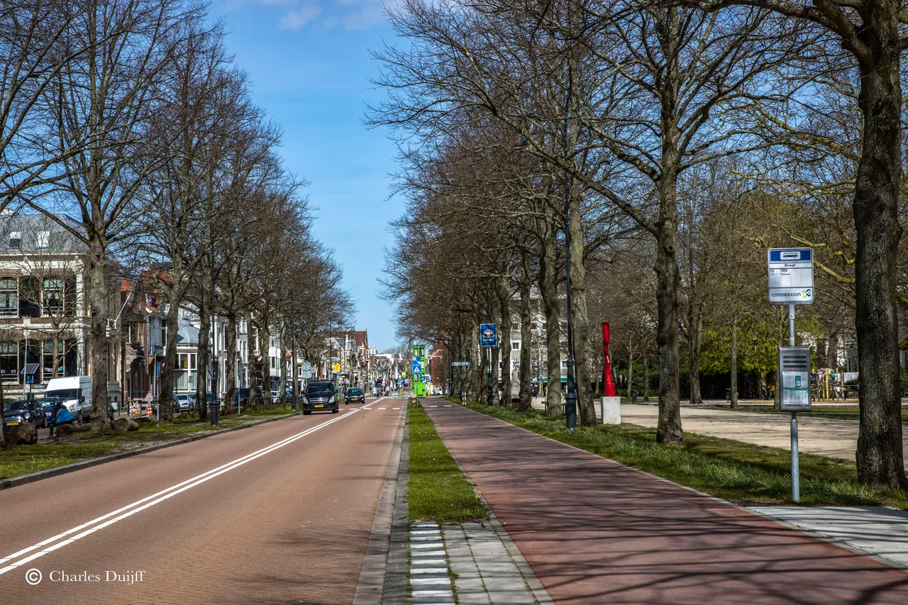 dreef haarlem