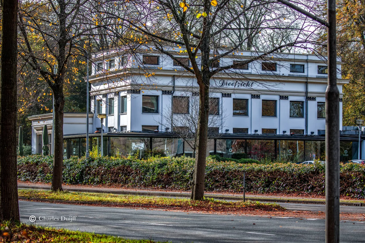 dreefzicht