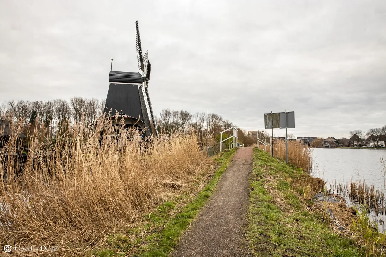 eenhoorn b