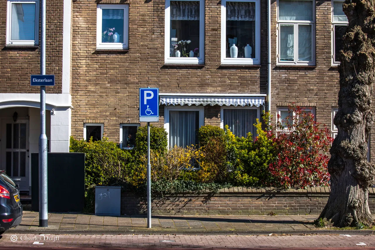 eksterlaan struik