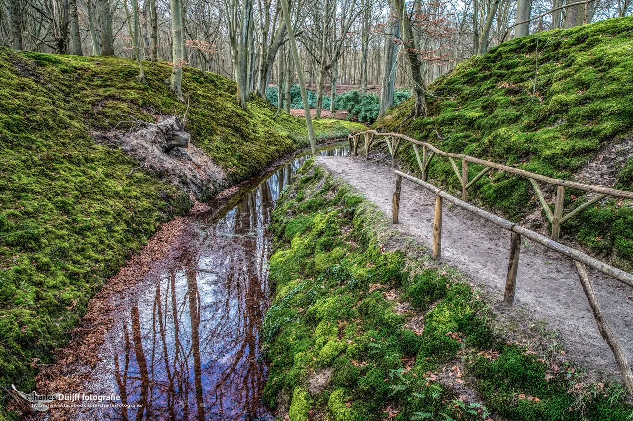 elswoutmooi