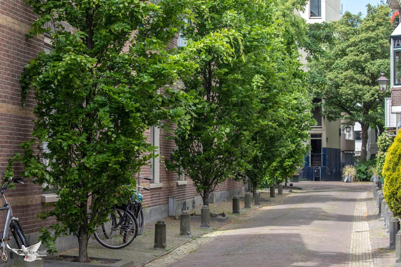 essenstraat1