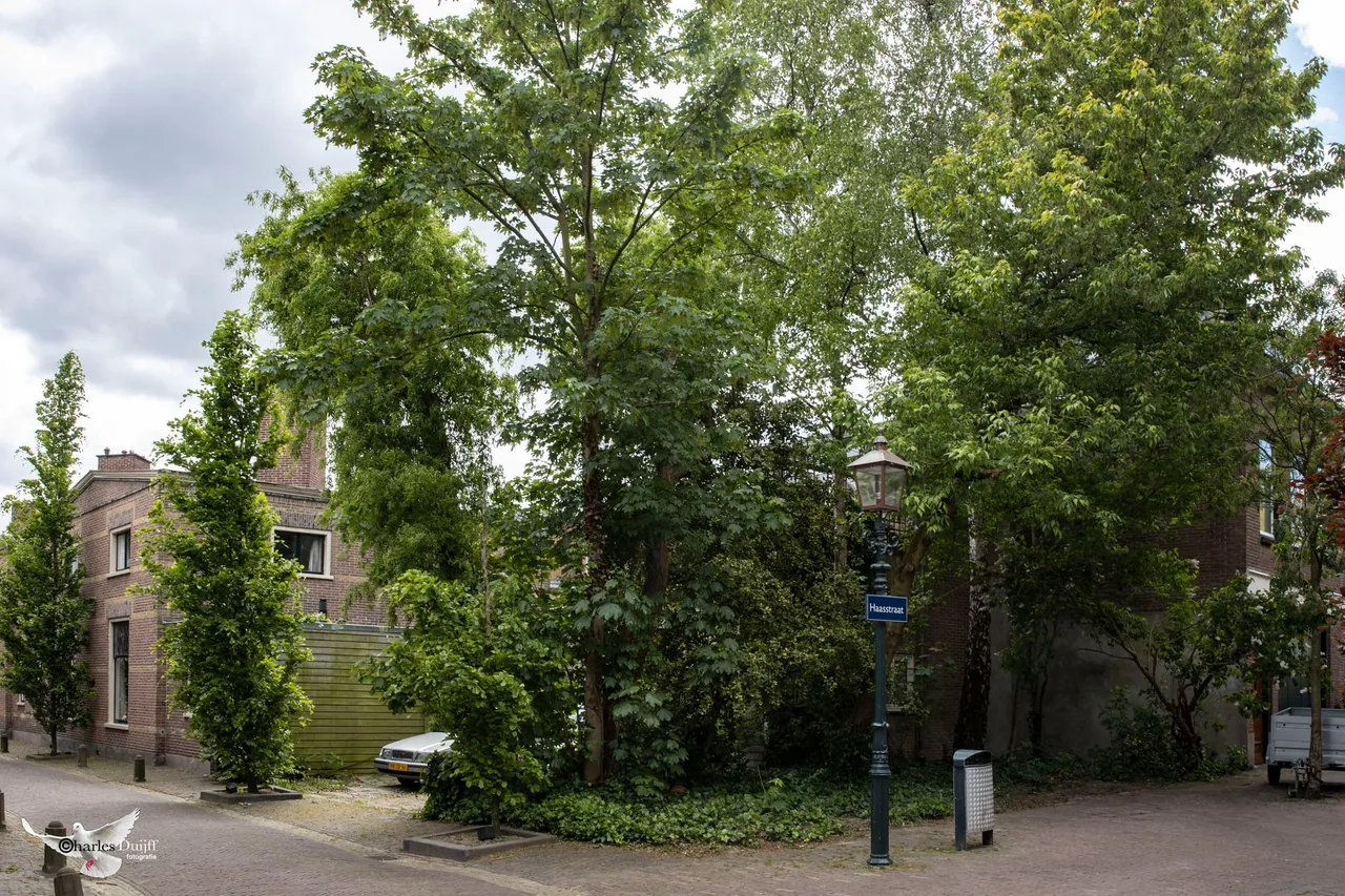 essenstraat3