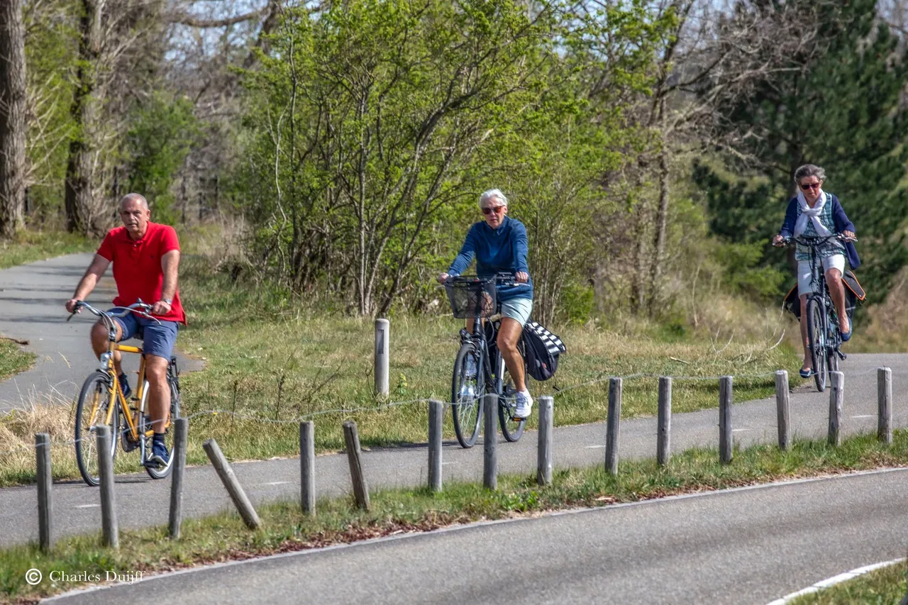 fietsers