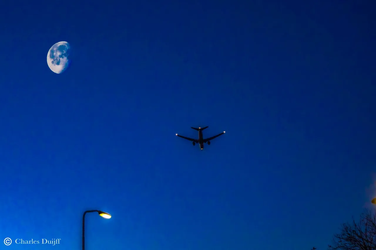 fly me to the moon