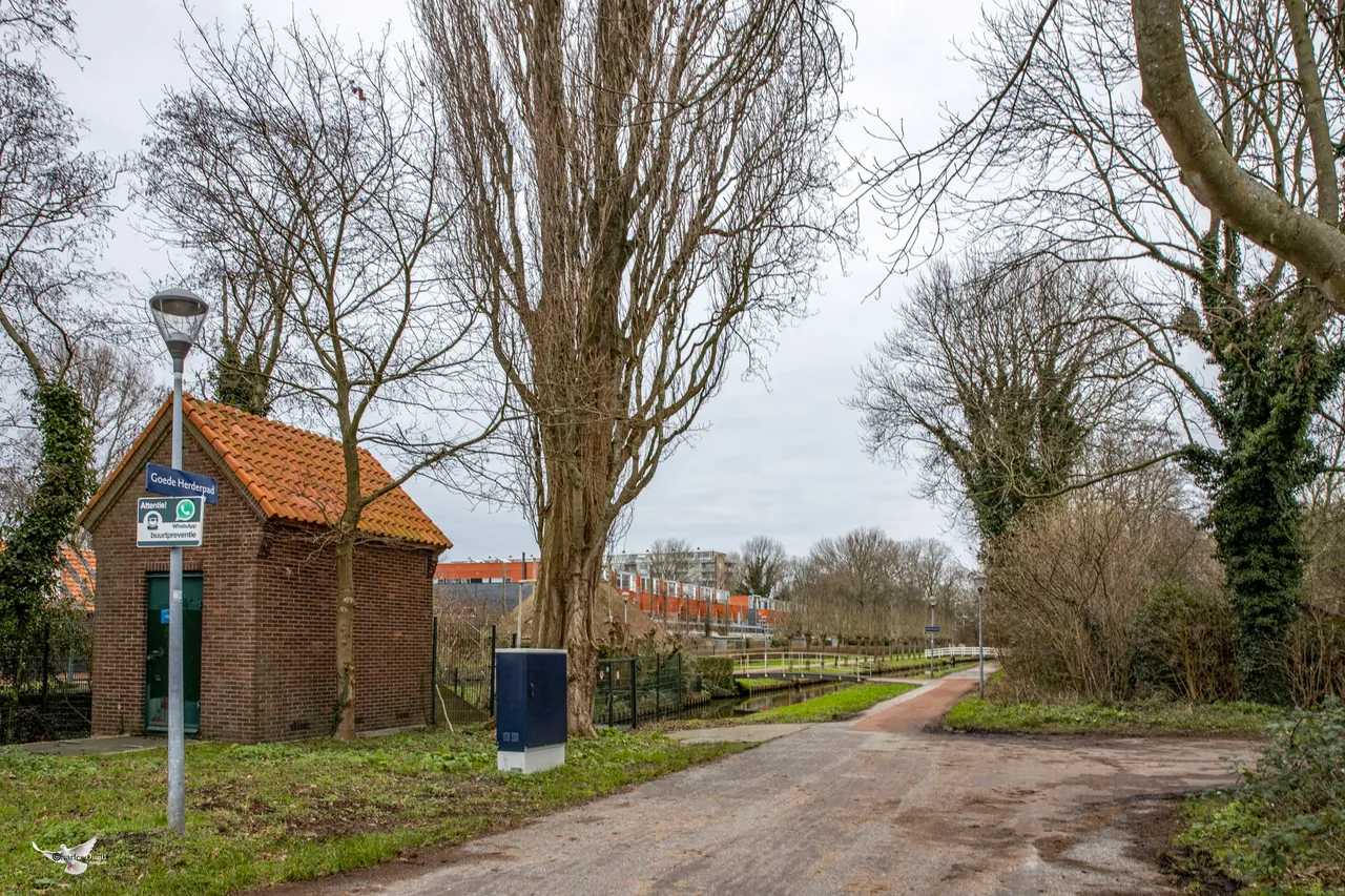 goede herderpad