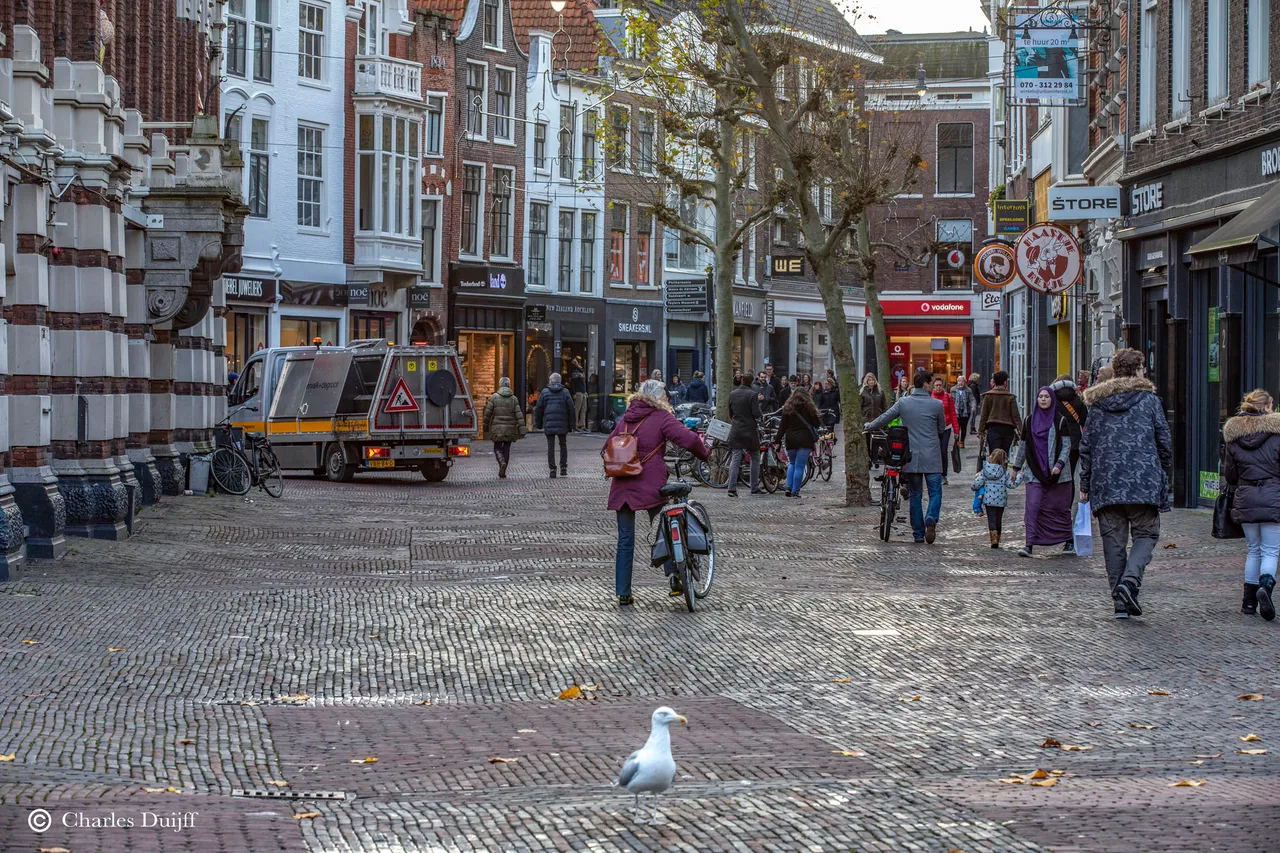 gr houtstraat 5