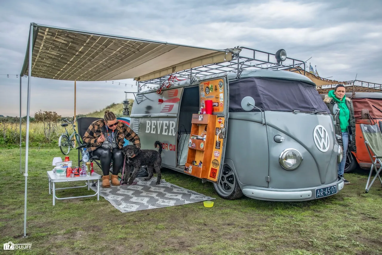grijze bus bever