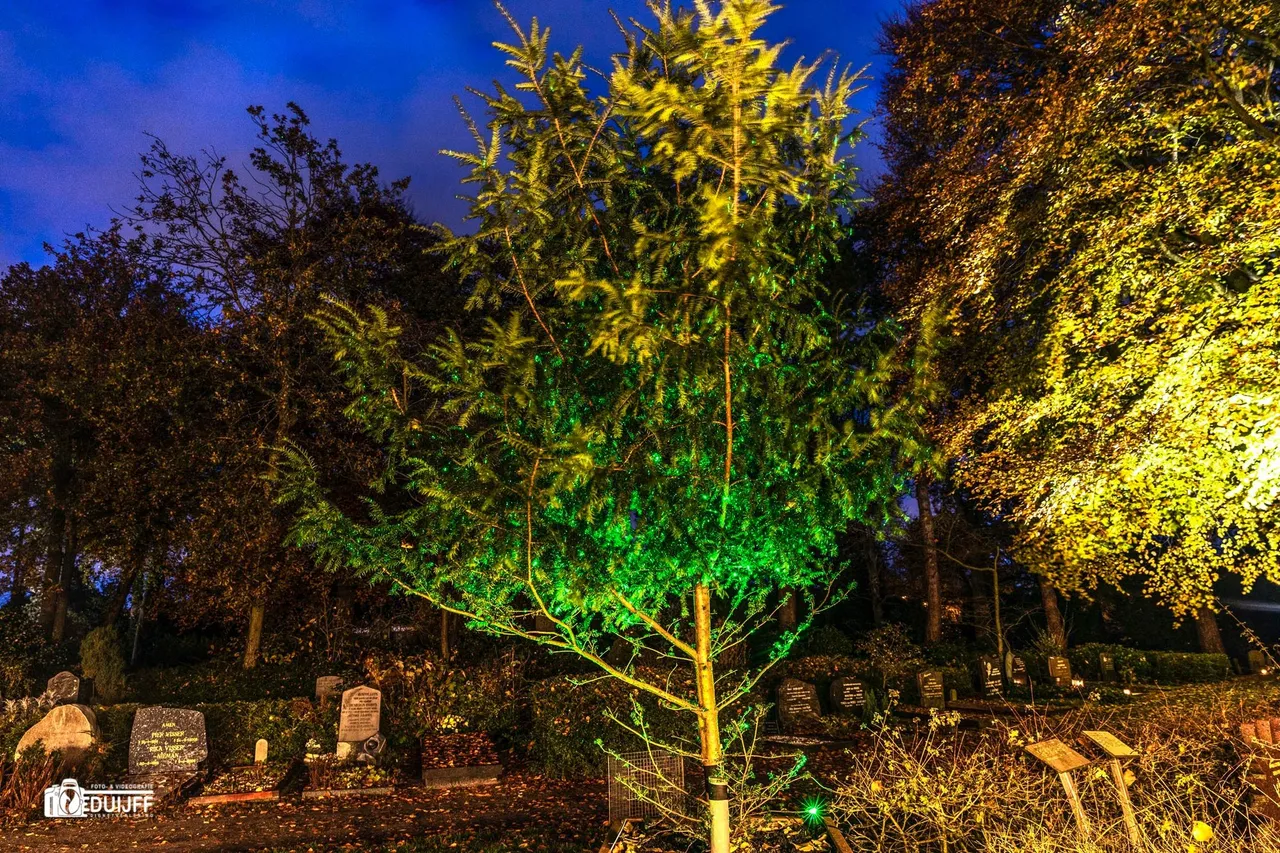 groen gekl boompje