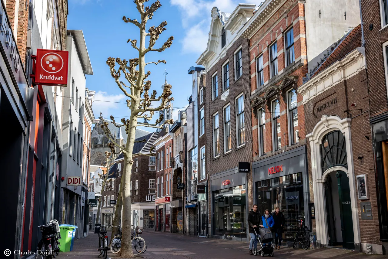 grote houtstraat