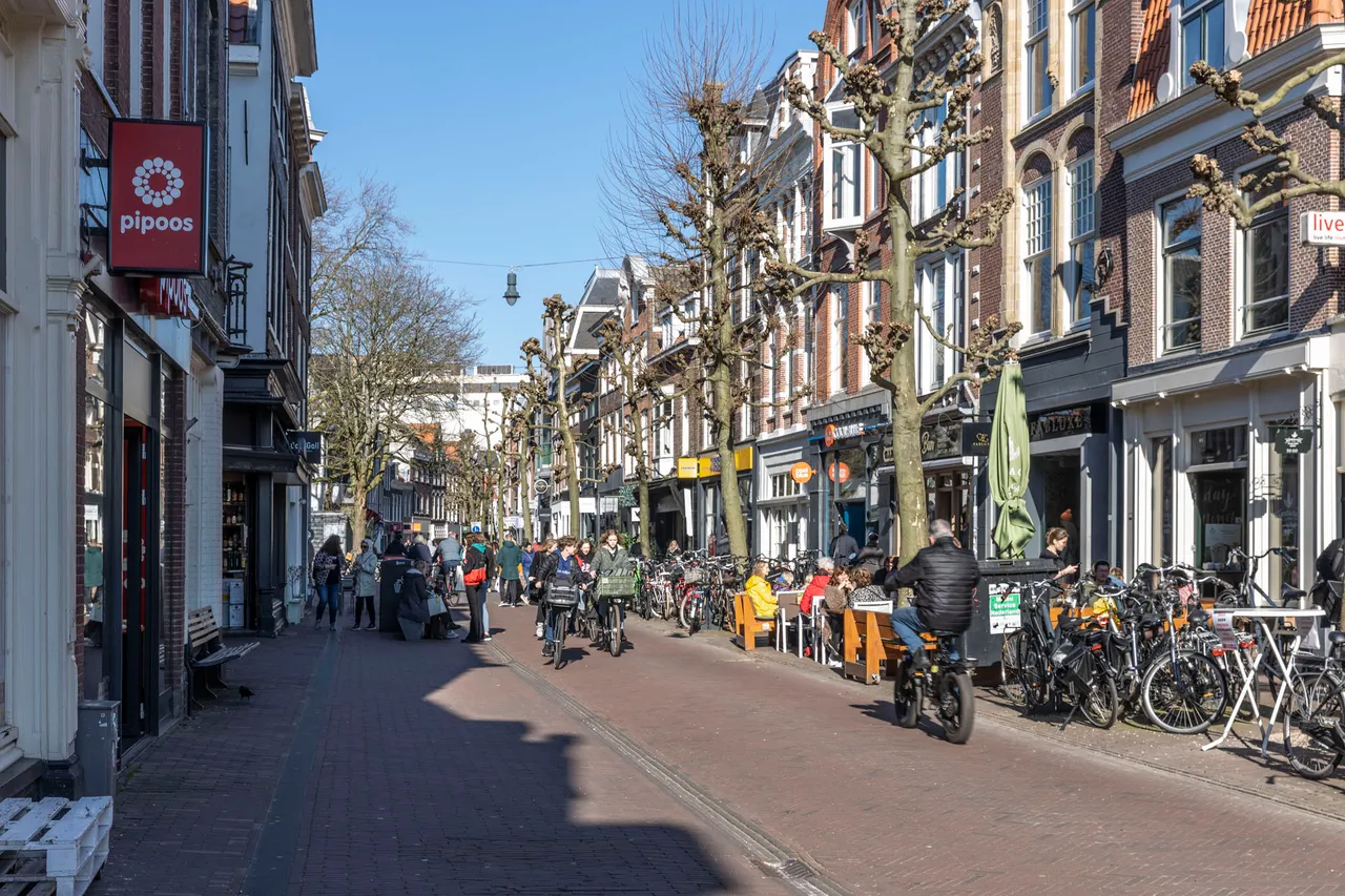 grote houtstraat zon