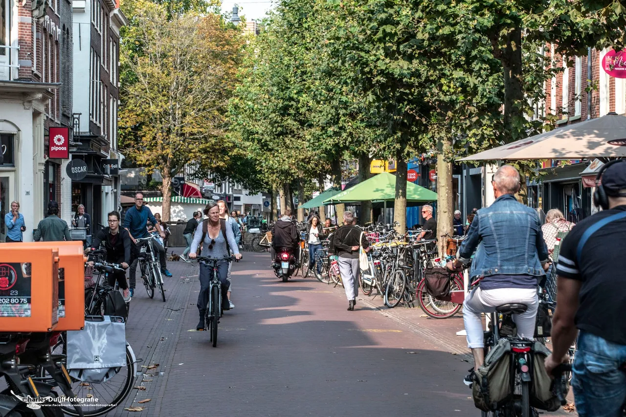 grote houtstraat8