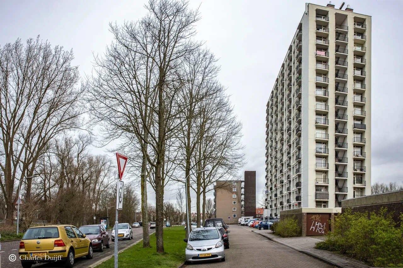 haarlem hoog groot1