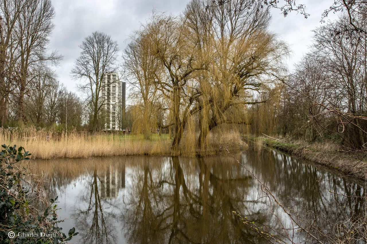 haarlem hoog