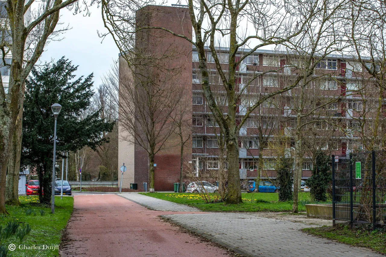 haarlem laag