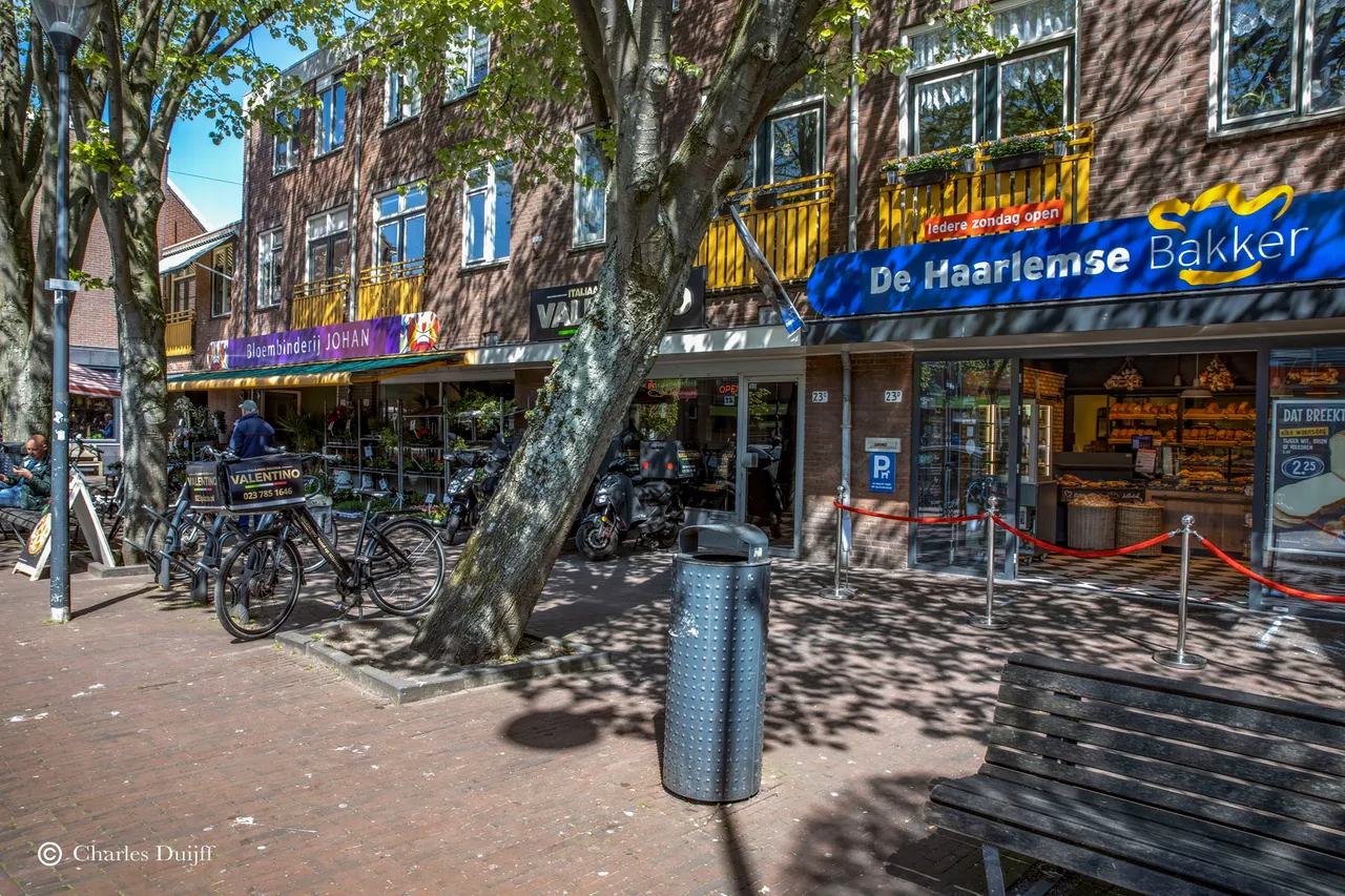 haarlemse bakker