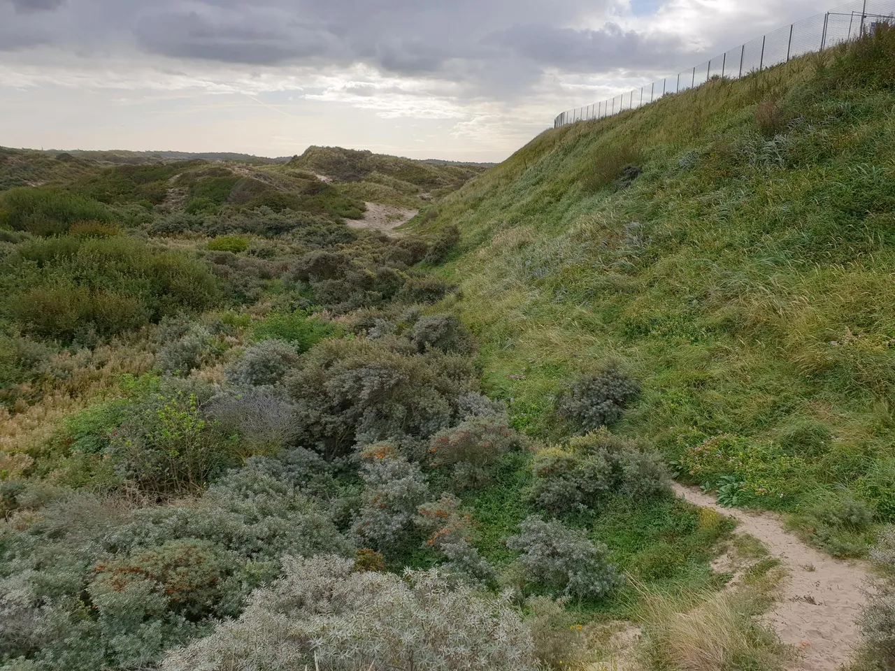 hek noordduinen