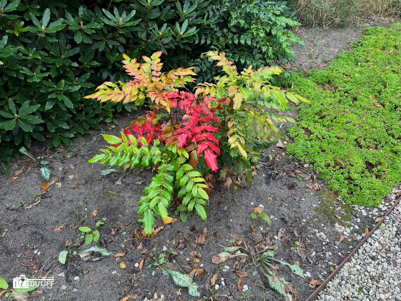 herfsttinten2