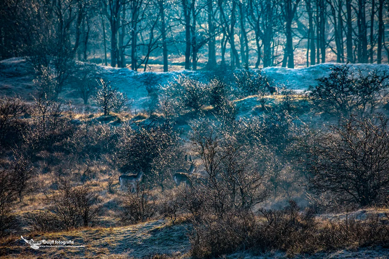 herten dag en dauw