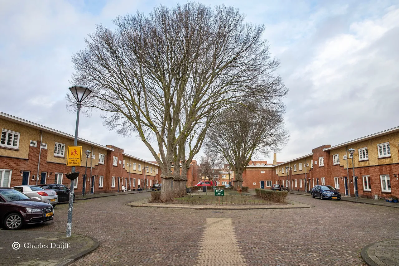 hof v egmond