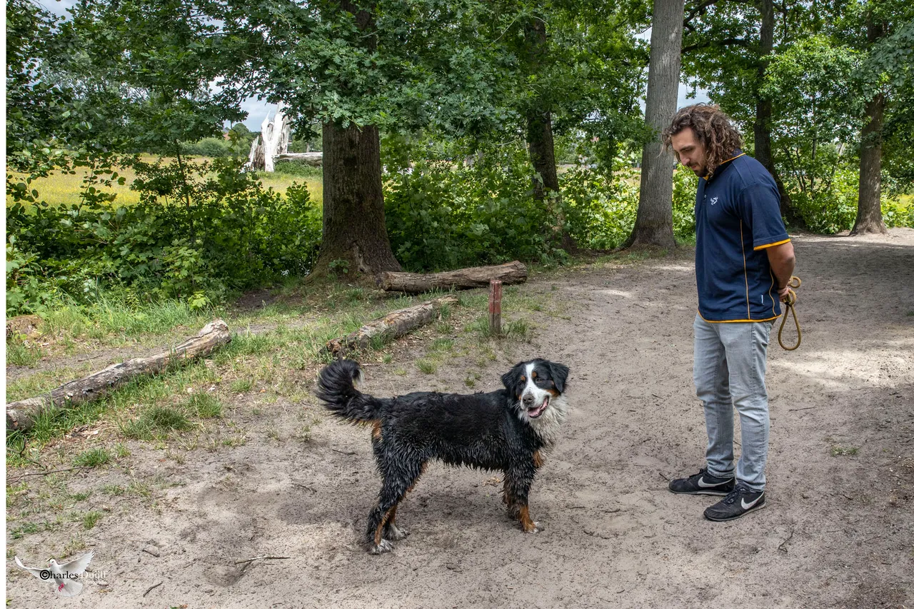 hond en zn baasje