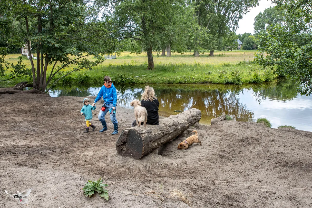 honden3