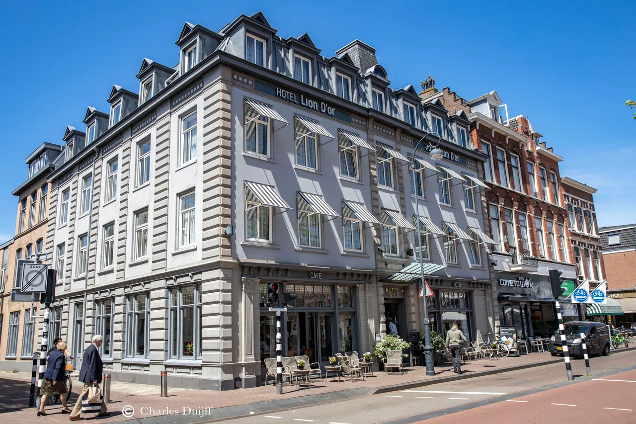 hotel lion dor