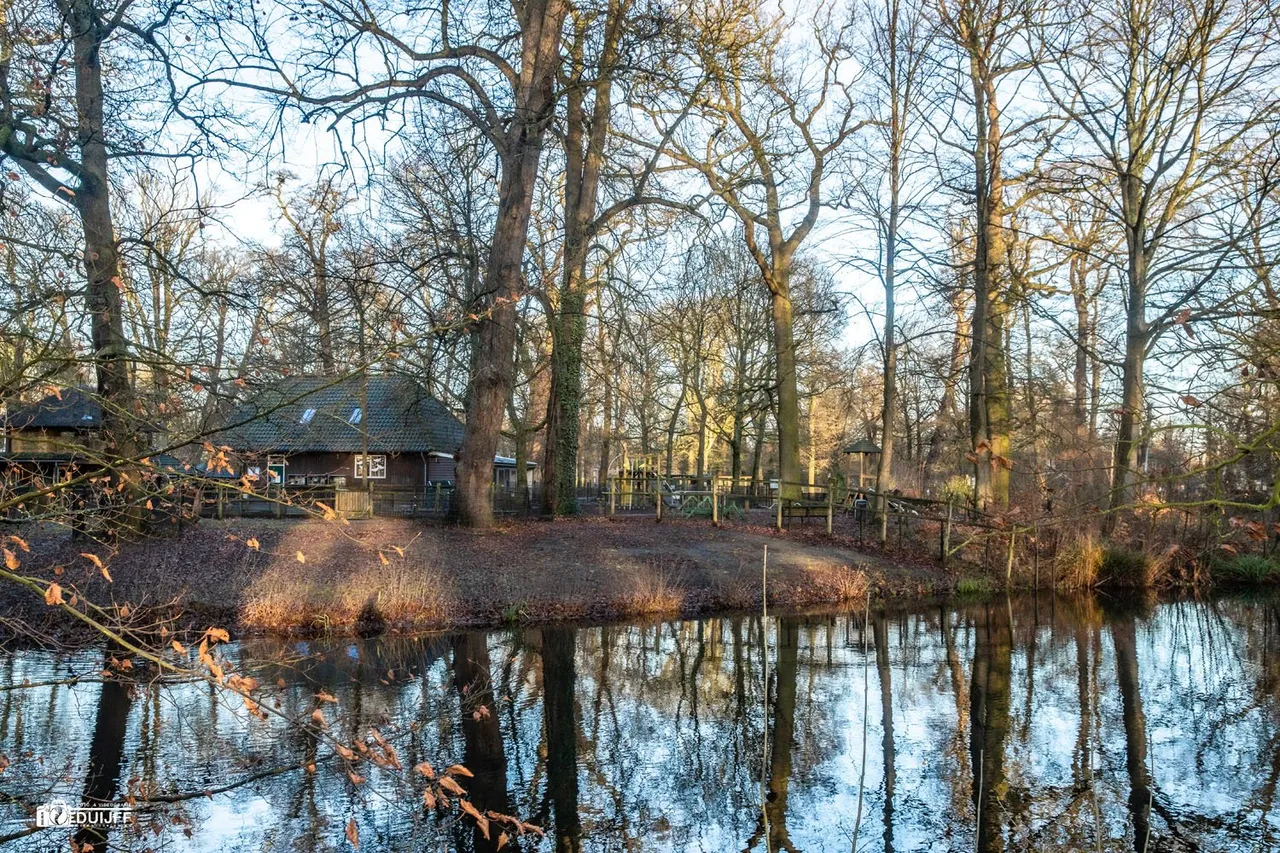 hout k boerderij