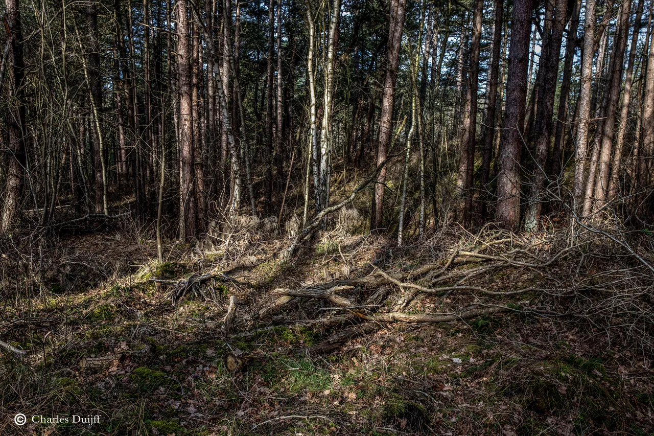 hout21