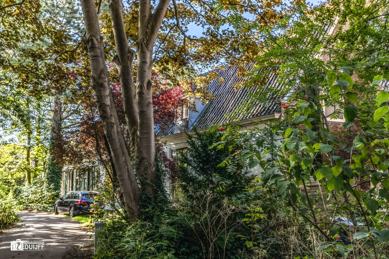 houtmanpad fraai