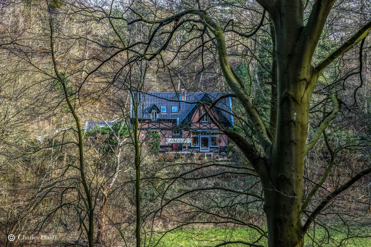 huis door bomen