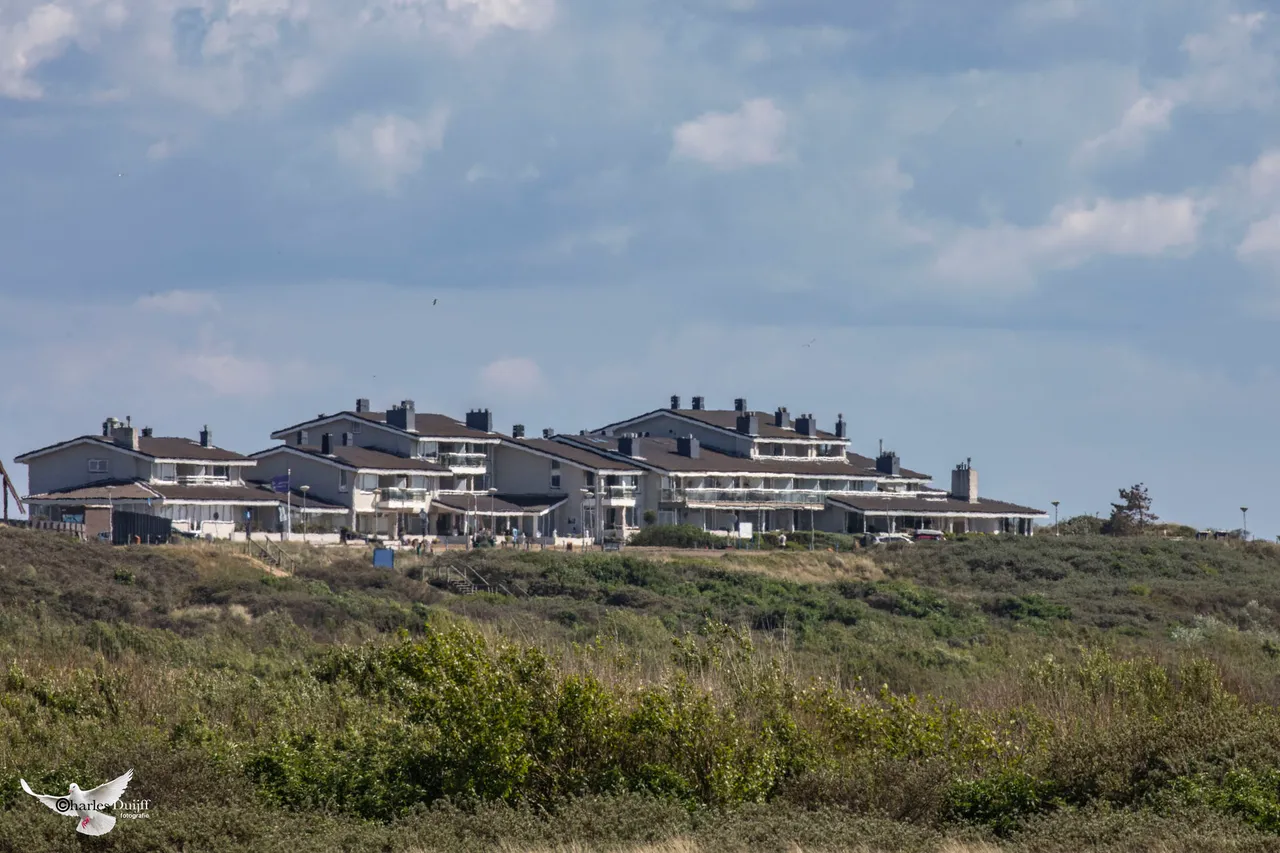 huizen in duin