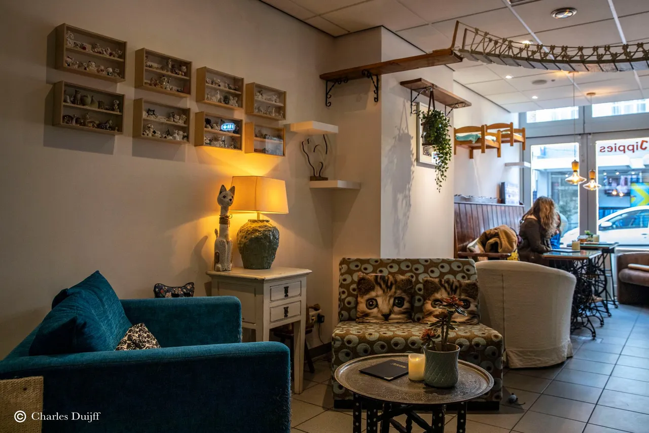 interieur2