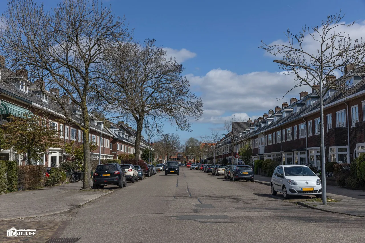 jan haringstraat large