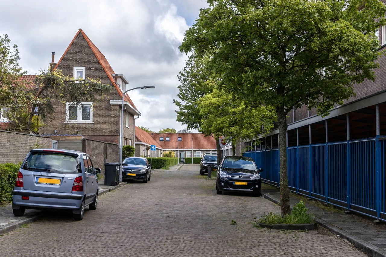 junoplantssoen1