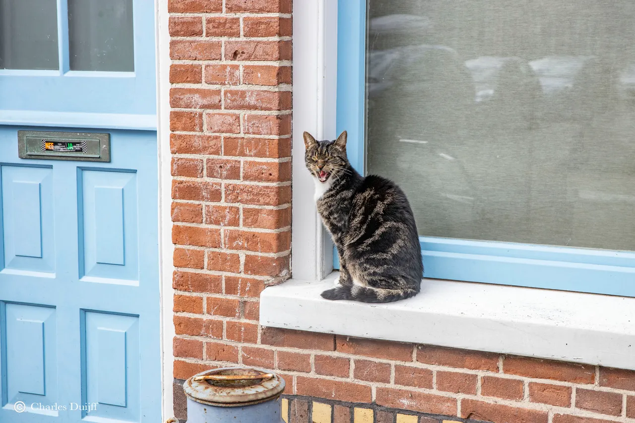 kat eendrachtstraat
