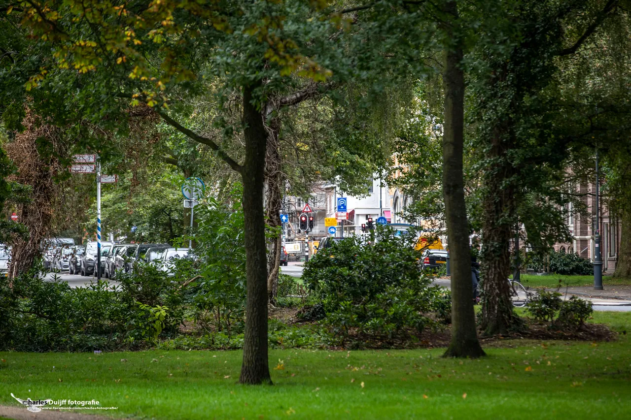 kenaupark parklaan