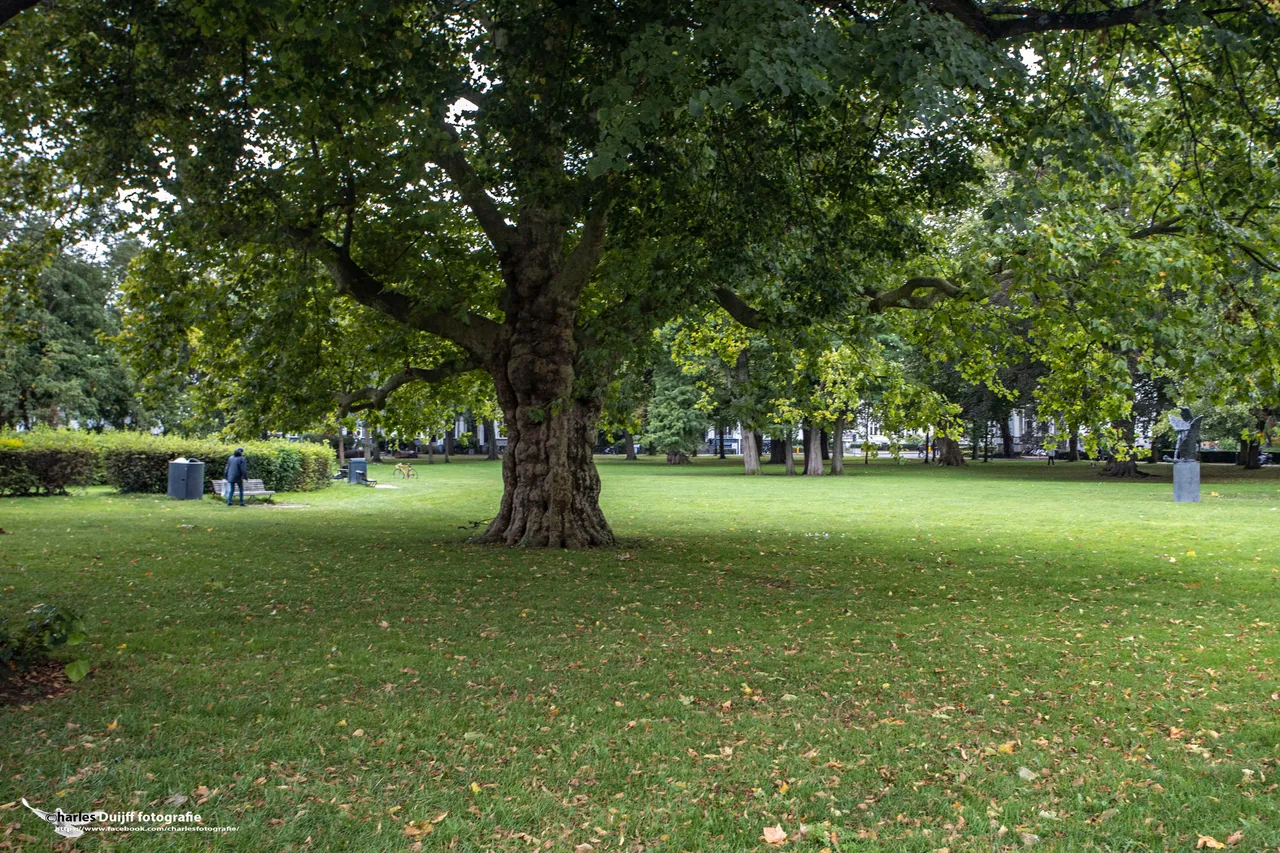 kenaupark2