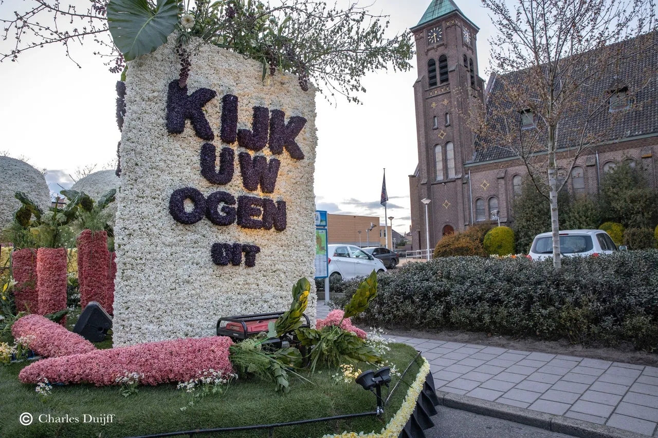 kijk uw ogen