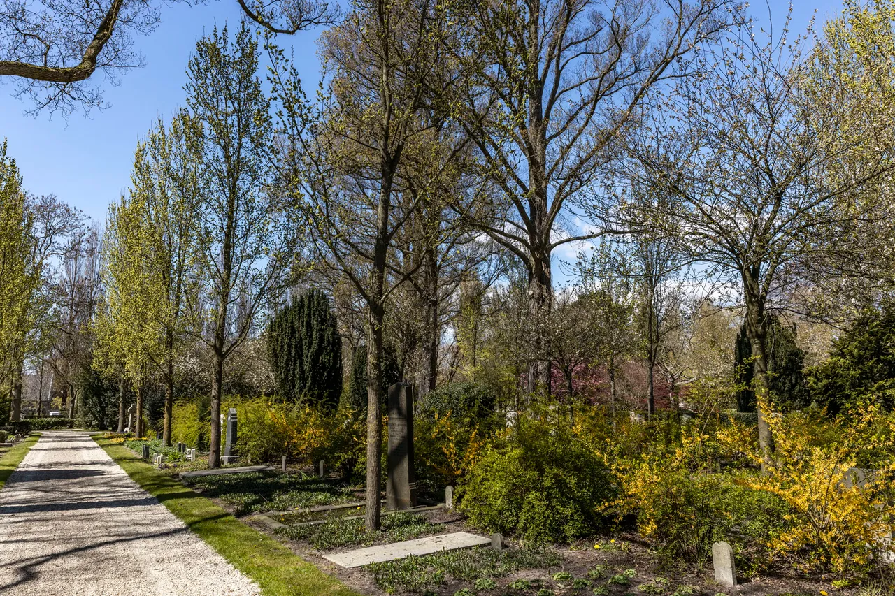 kleurrijk f