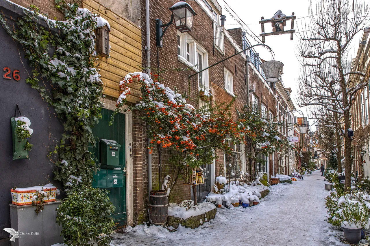 korte houtstr