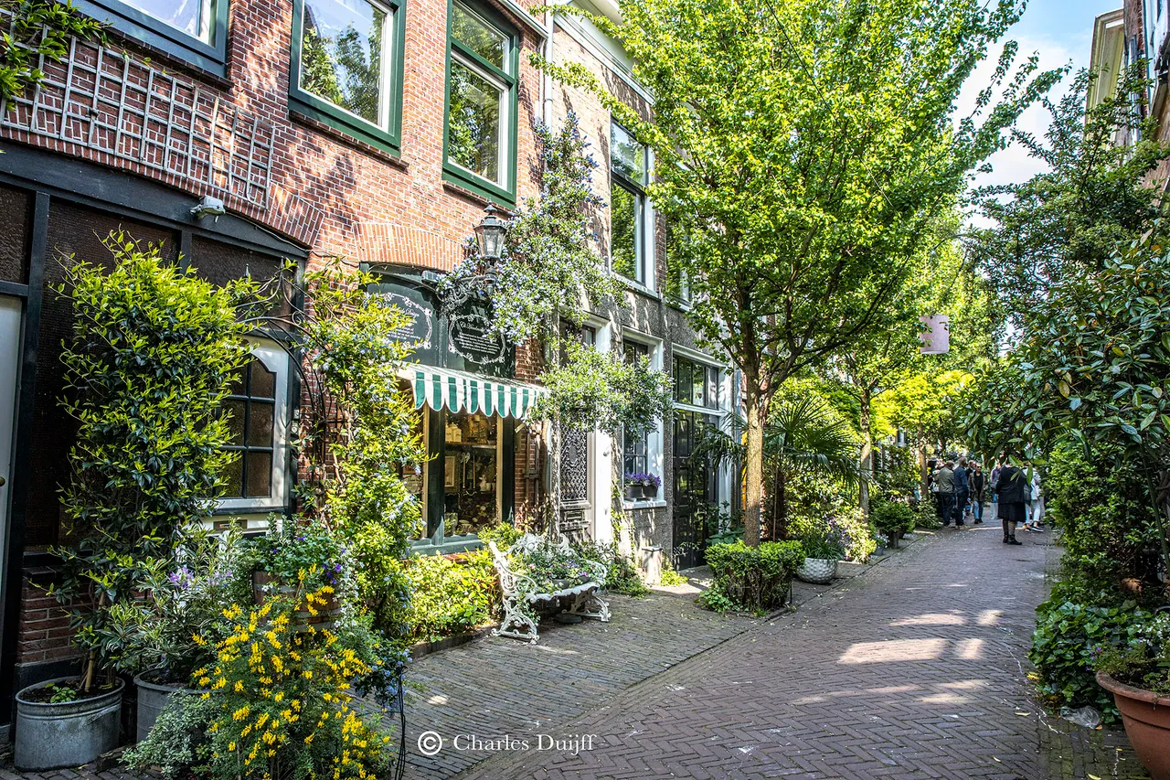 korte houtstr
