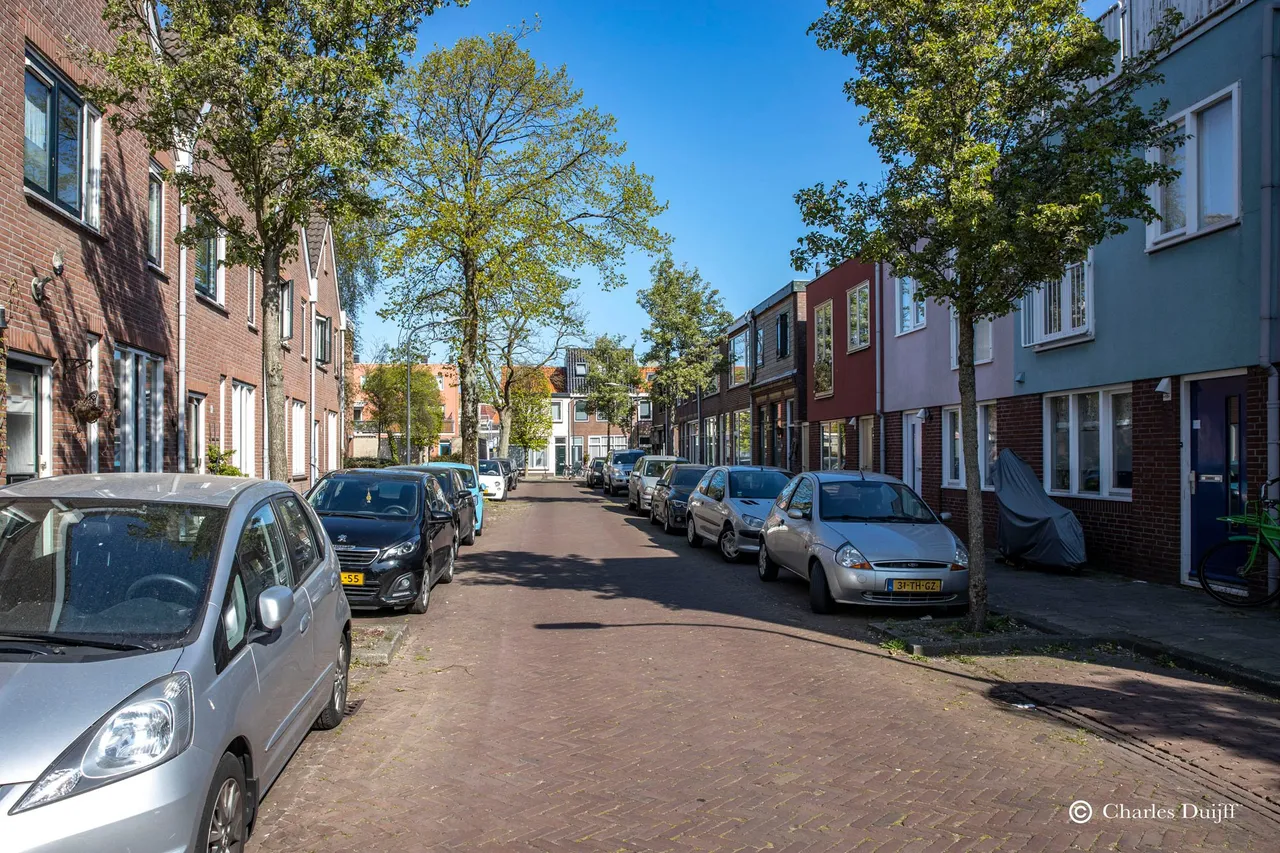 laatste foto s