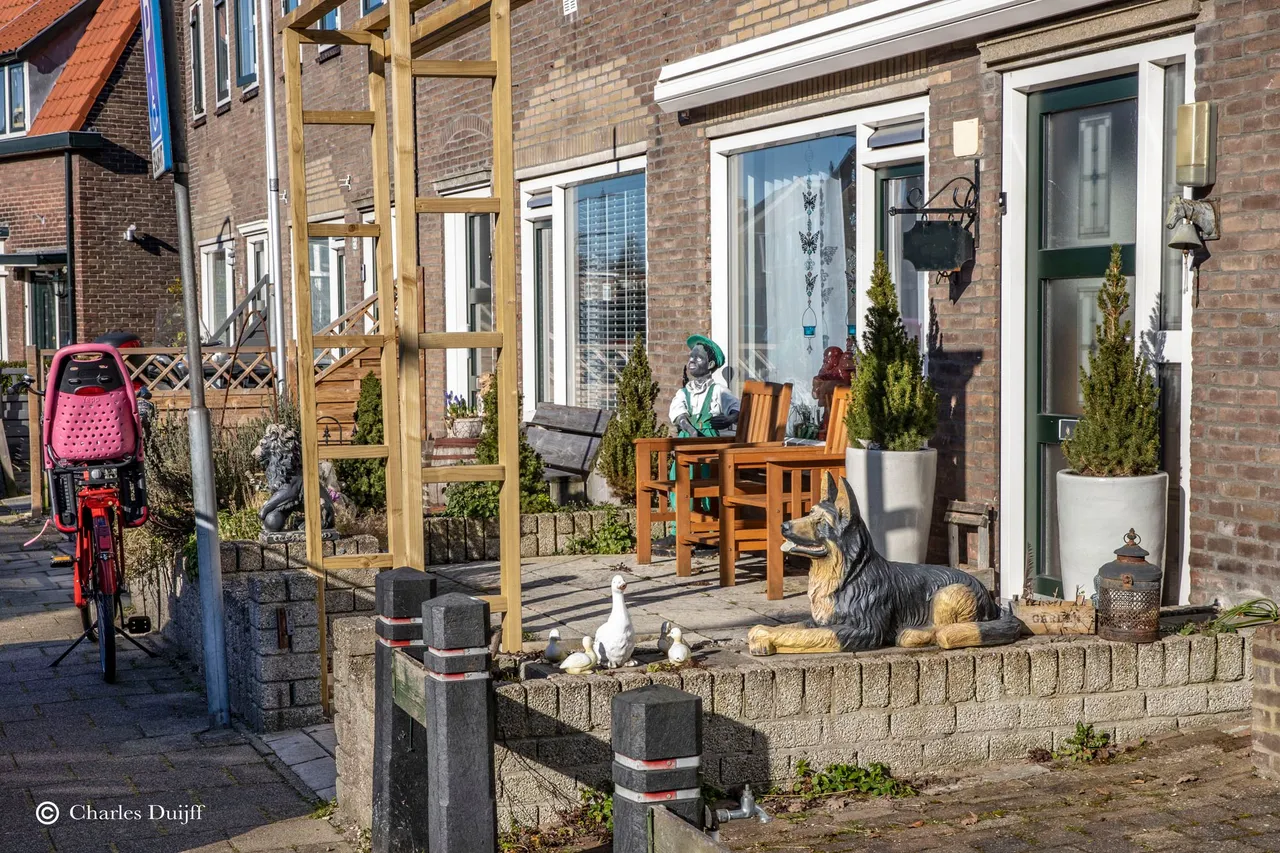 leuke beelden