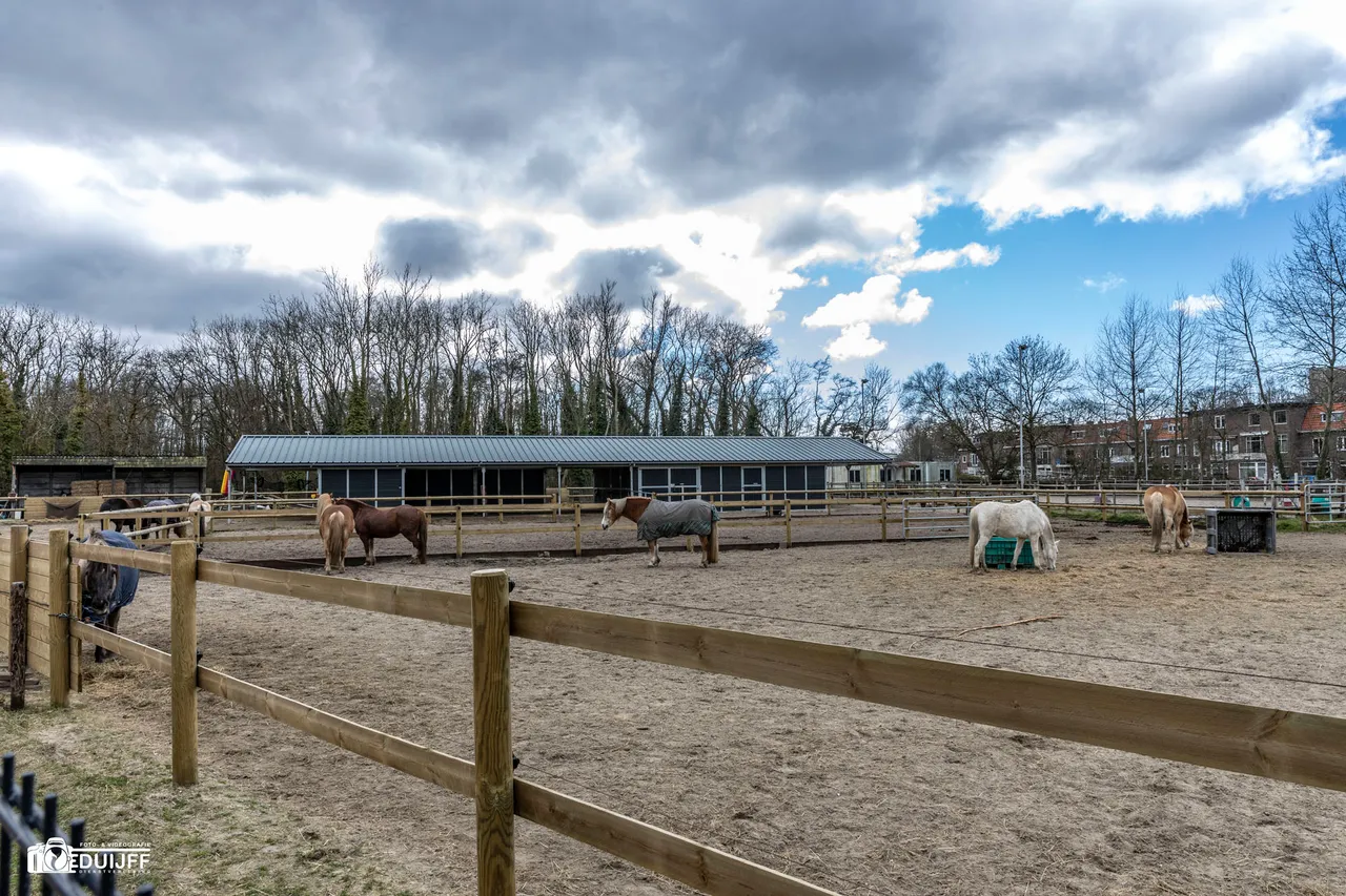 manege