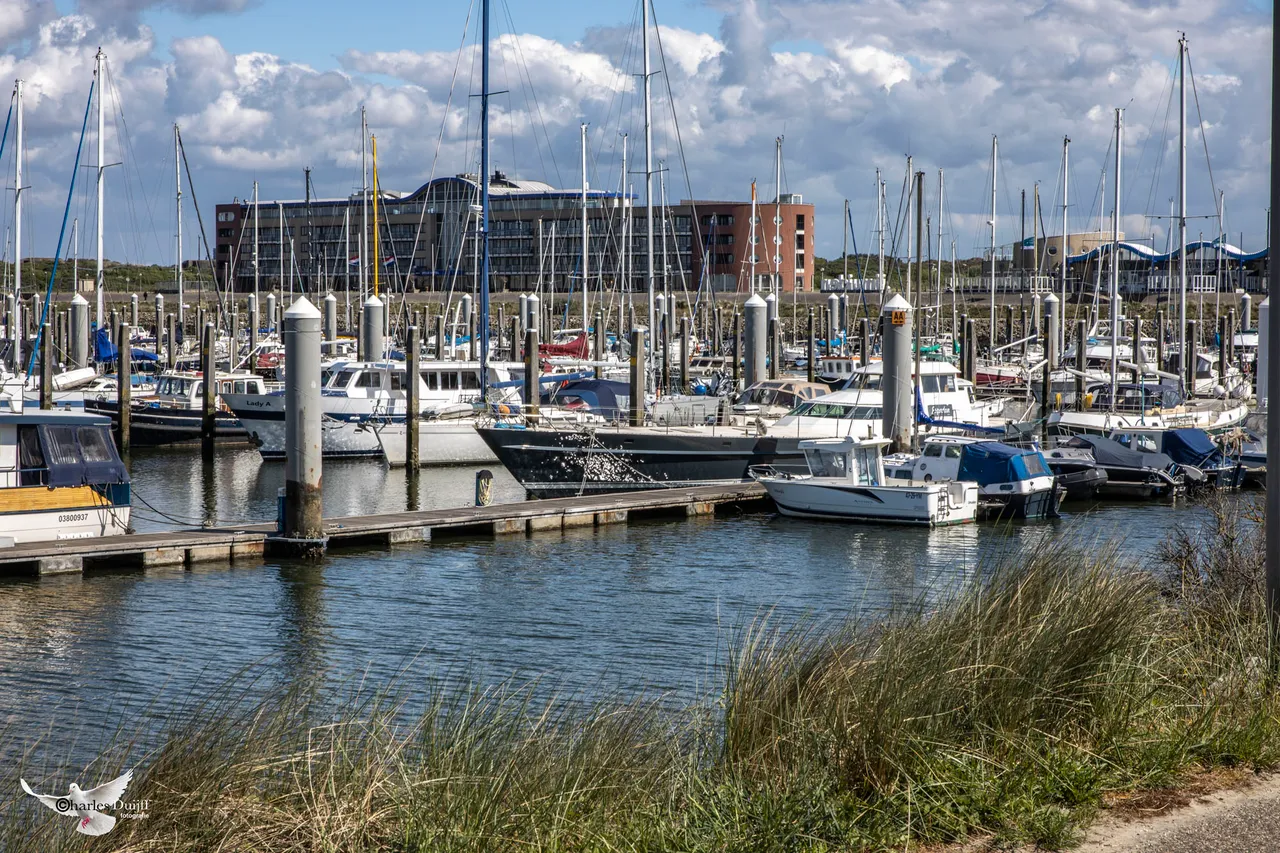 marina haven
