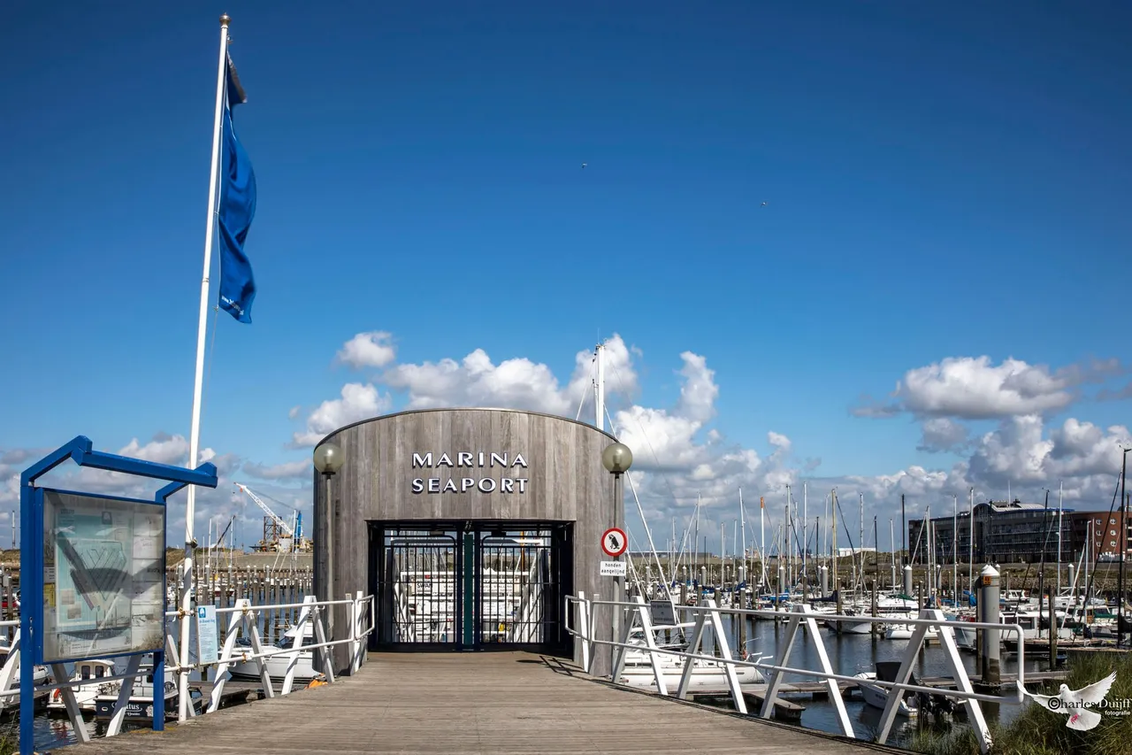 marina seaport