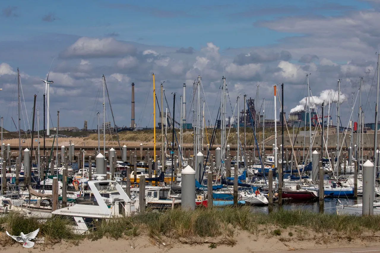 marinahaven1