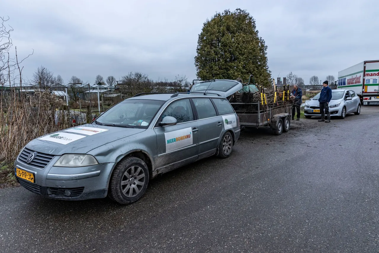 meergroen auto