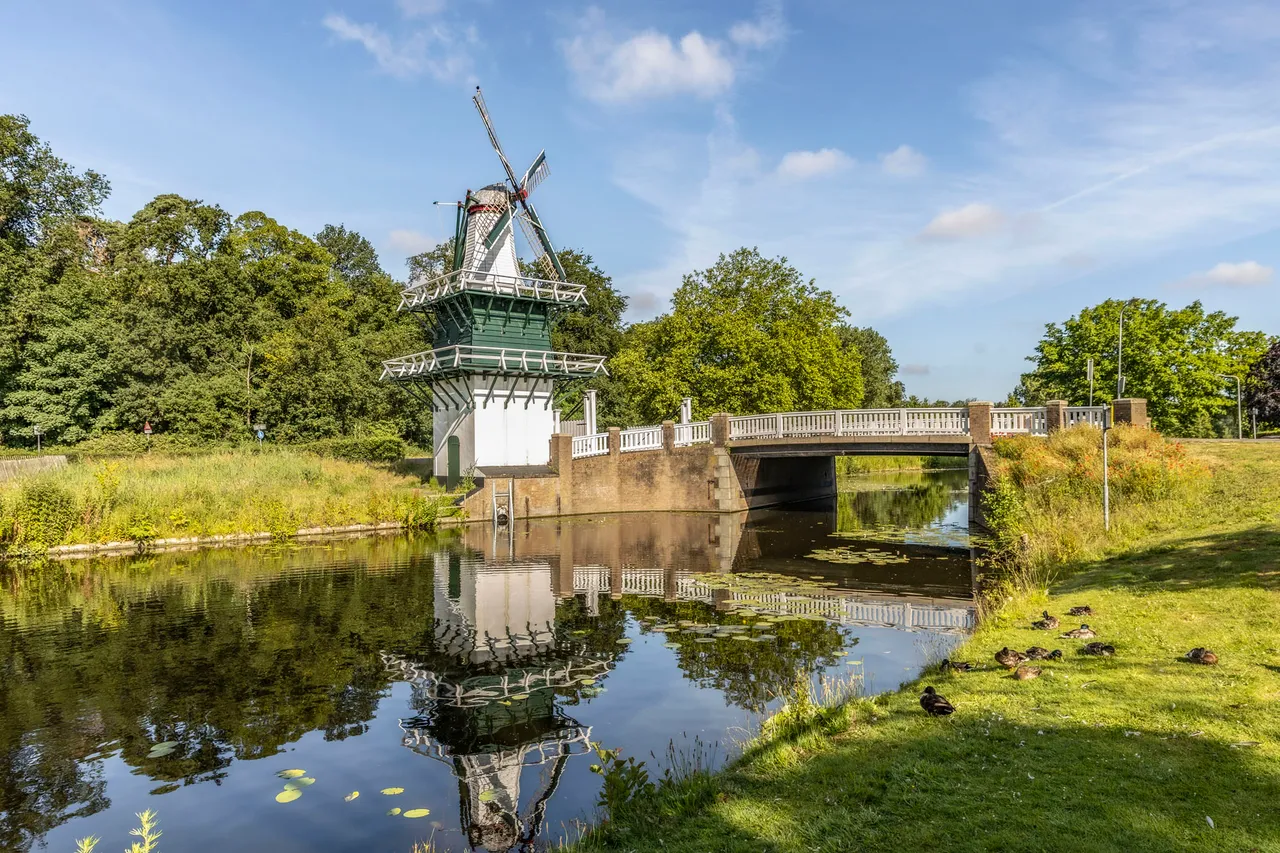 molen kleur3